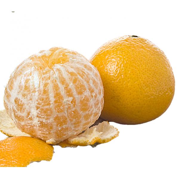 爱媛38号橙 4斤